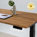Standing Desk Oak